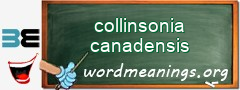 WordMeaning blackboard for collinsonia canadensis